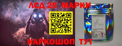 прущие грибы Будённовск