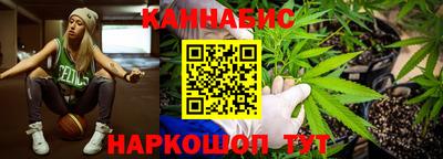 прущие грибы Будённовск
