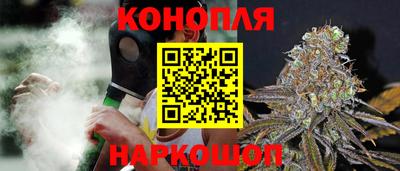 прущие грибы Будённовск