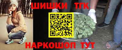 прущие грибы Будённовск