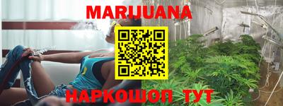 прущие грибы Будённовск